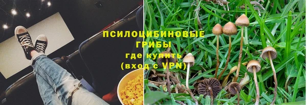 дурь Алзамай