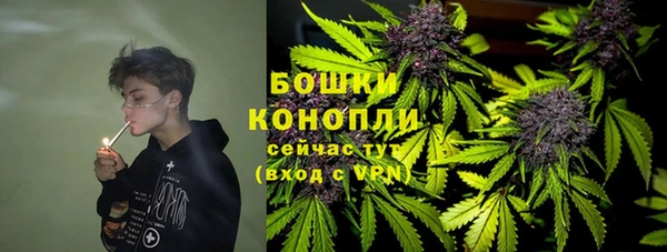 дурь Алзамай
