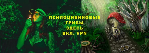 экстази Алексин