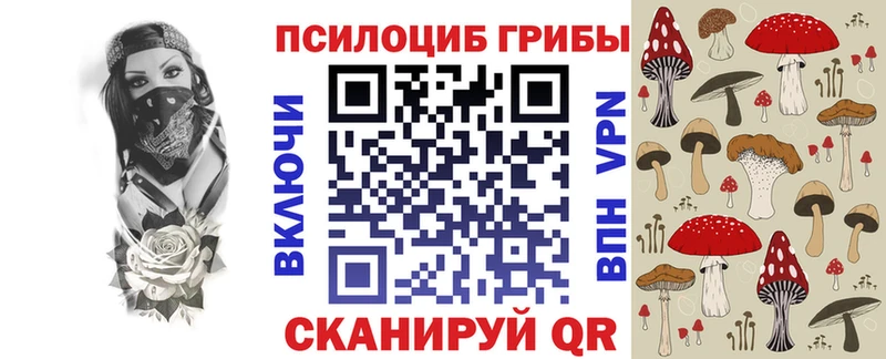 Псилоцибиновые грибы Psilocybine cubensis  Абинск 